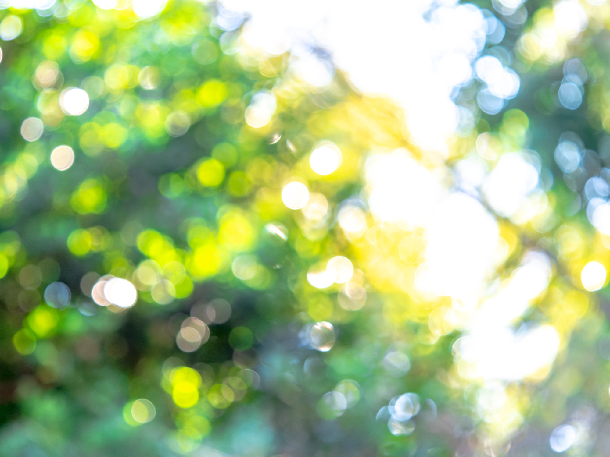 網膜色素変性症とは