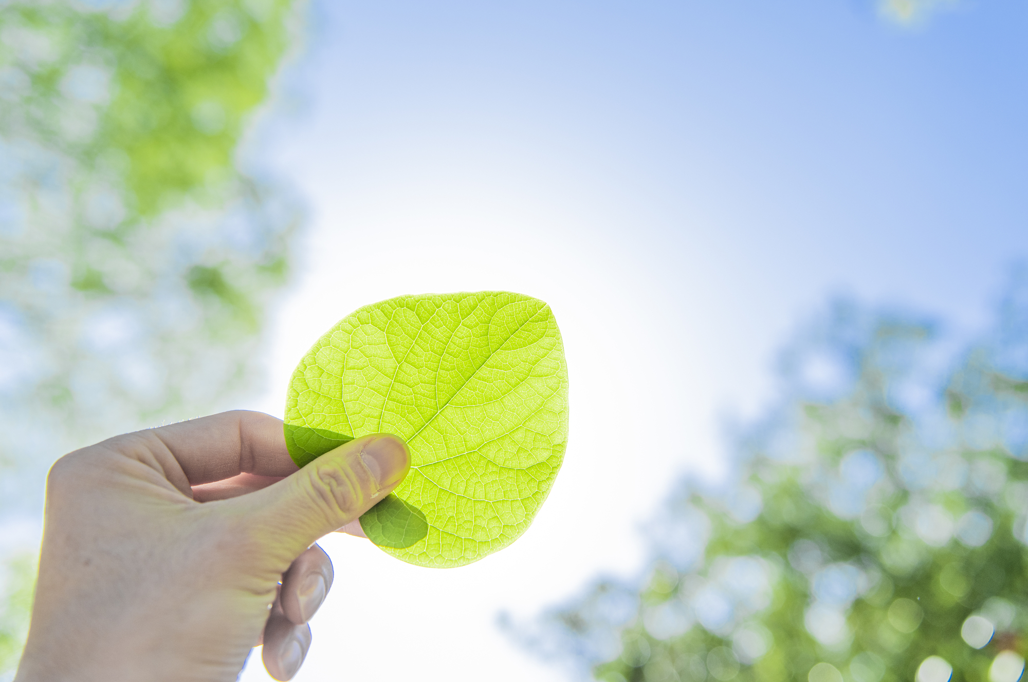 日本網膜色素変性症協会の紹介